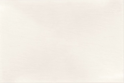 Agrob Buchtal Pizarro 281476 Wandfliesen weiß seidenmatt 30x60 cm